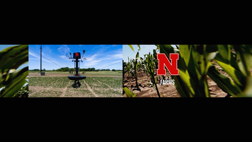 NFarms Header