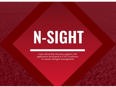 N-SIGHT Video link