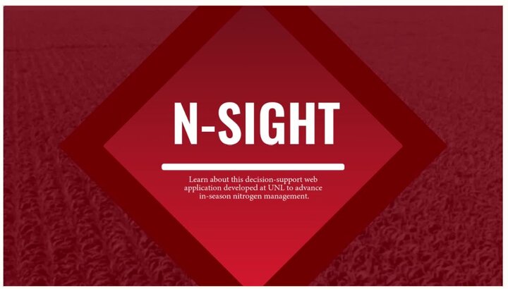 N-SIGHT Video link
